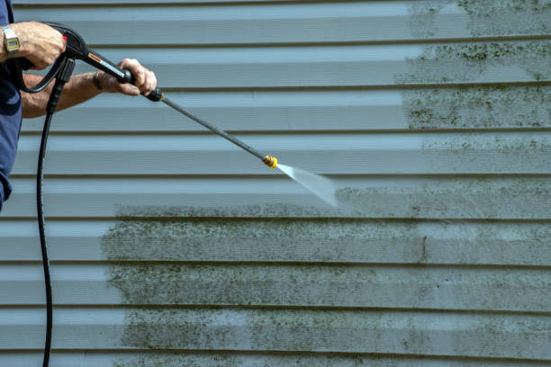 Best Residential Exterior Washing  in Tidmore Bend, AL